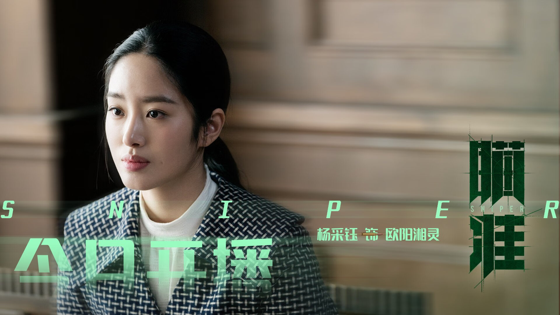 全球车迷盛典:WRC粉丝文化巡礼与狂欢派对,车迷大会