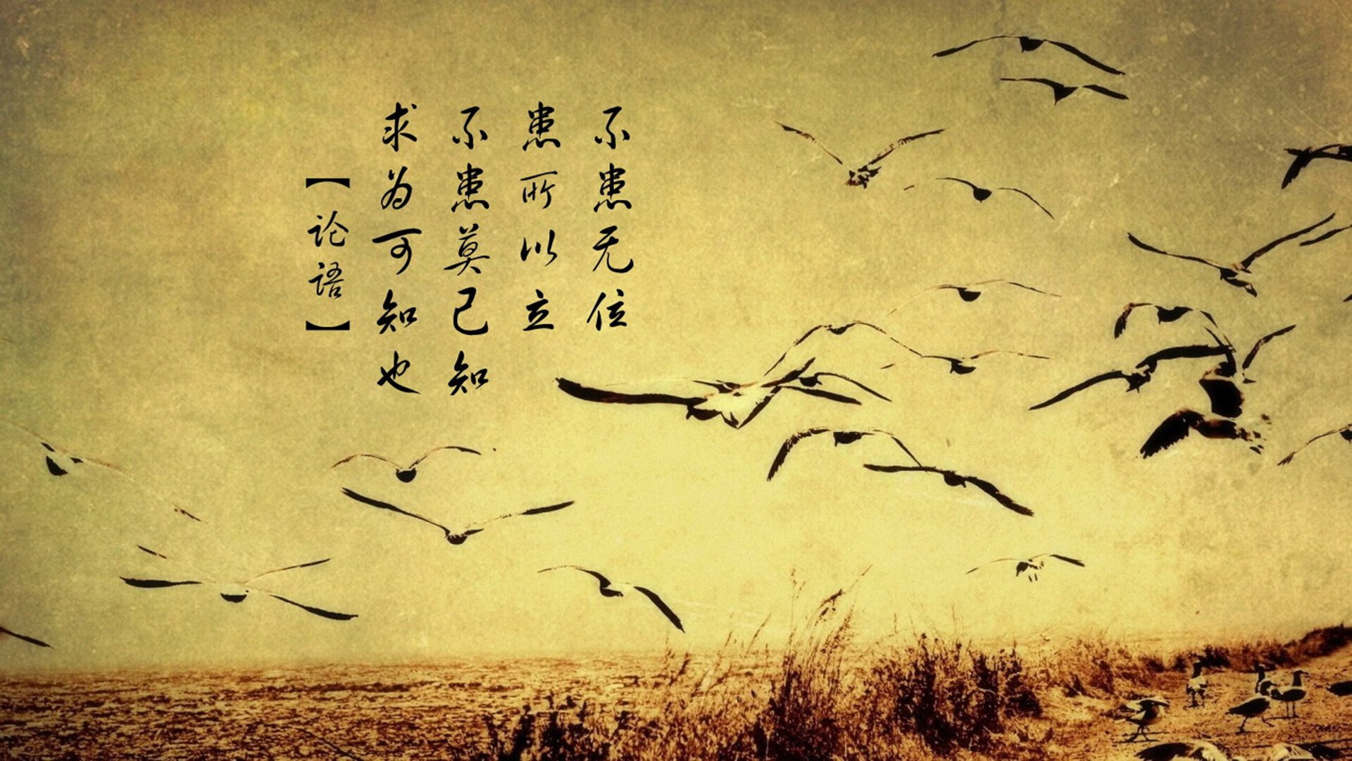 “球迷热议：你认为最精彩的比赛是哪场？”，世界上最精彩的球赛